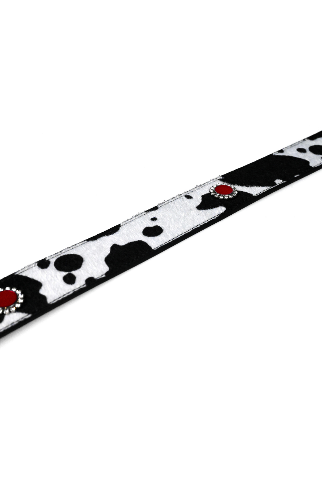 WW Noir Ranch Belt